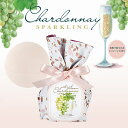 【9日20時~マラソン期間P10倍】シャルドネ スパークリング バスボム 150g Chardonnay バスギフト 入浴剤 プチギフト ミニギフト 女性 アロ...