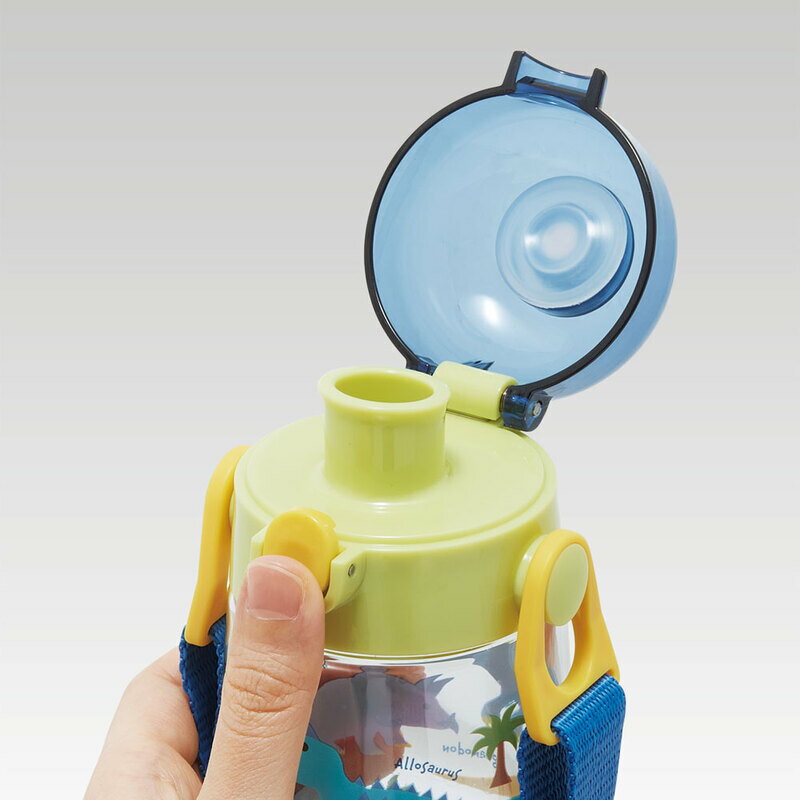 1~7営業日出荷 水筒 キッズ ワンプッシュ 超軽量 PDDR5 ダイレクトボトル 480ml 水筒 ディノサウルス 恐竜 ランチグッズ スケーター