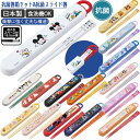 【9日20時~マラソン期間P10倍】箸セット スケーター 日本製 抗菌箸箱セット&抗菌スライド箸 ABS2AMAG スケーター アナと雪の女王 アリエル トイス...