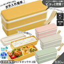 弁当箱 大人用 ランチボックス 箸付き 抗菌 630ml SSLW6AG 電子レンジ対応 食洗機対応 くすみカラー スケーター かわいい おしゃれ スリム 女性 学生