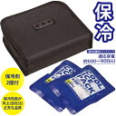 保冷バッグ ランチバッグ 保冷剤付き 1段弁当用 KB51 スケーター ランチグッズ 大人用 手提げ 保冷 保温 通勤 通学 アウトドア ドライブ