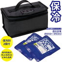 保冷バッグ ランチバッグ 保冷剤付き 2段弁当用 KB52 スケーター ランチグッズ 大人用 手提げ 保冷 保温 通勤 通学 アウトドア ドライブ