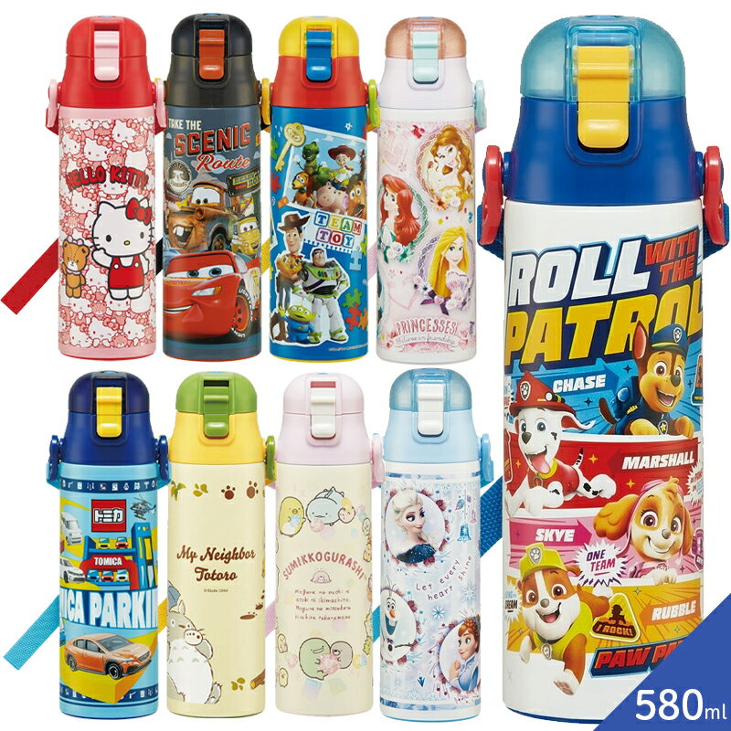 ロック付ワンプッシュダイレクトステンレスボトル 580ml 水筒 SDC6N 送料無料 小学生 キッズ スケーター 入学 入園 新学期 保冷