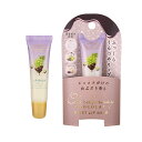 シャルドネショコラ モイストリップバーム Chardonnay ギフト プレゼント プチギフト ミニギフト 女性 かわいい いい香り メール便