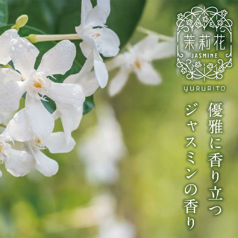 ��P10�ܡ�1~7�Ķ����в� YURURITO ����� ��轲� �ե쥰��󥹥����ʥ��� ������ �ߤ겼�������� ������ �����谷Ź �᡼����