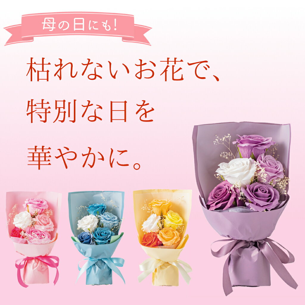 1~7�Ķ����в� ����������ɥ����ץե��֡��� ����� ´�� ���� �ץ쥼��� ������ ���ˤ� ����ƥꥢ���� �����륷������Ȥ��� �����谷Ź