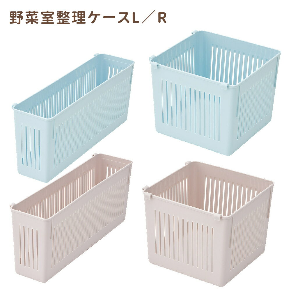 乐天商城 - 1~7営業日出荷 野菜室整理ケースL/R 冷蔵庫収納グッズ CVBL2 スケーター 正規取扱店