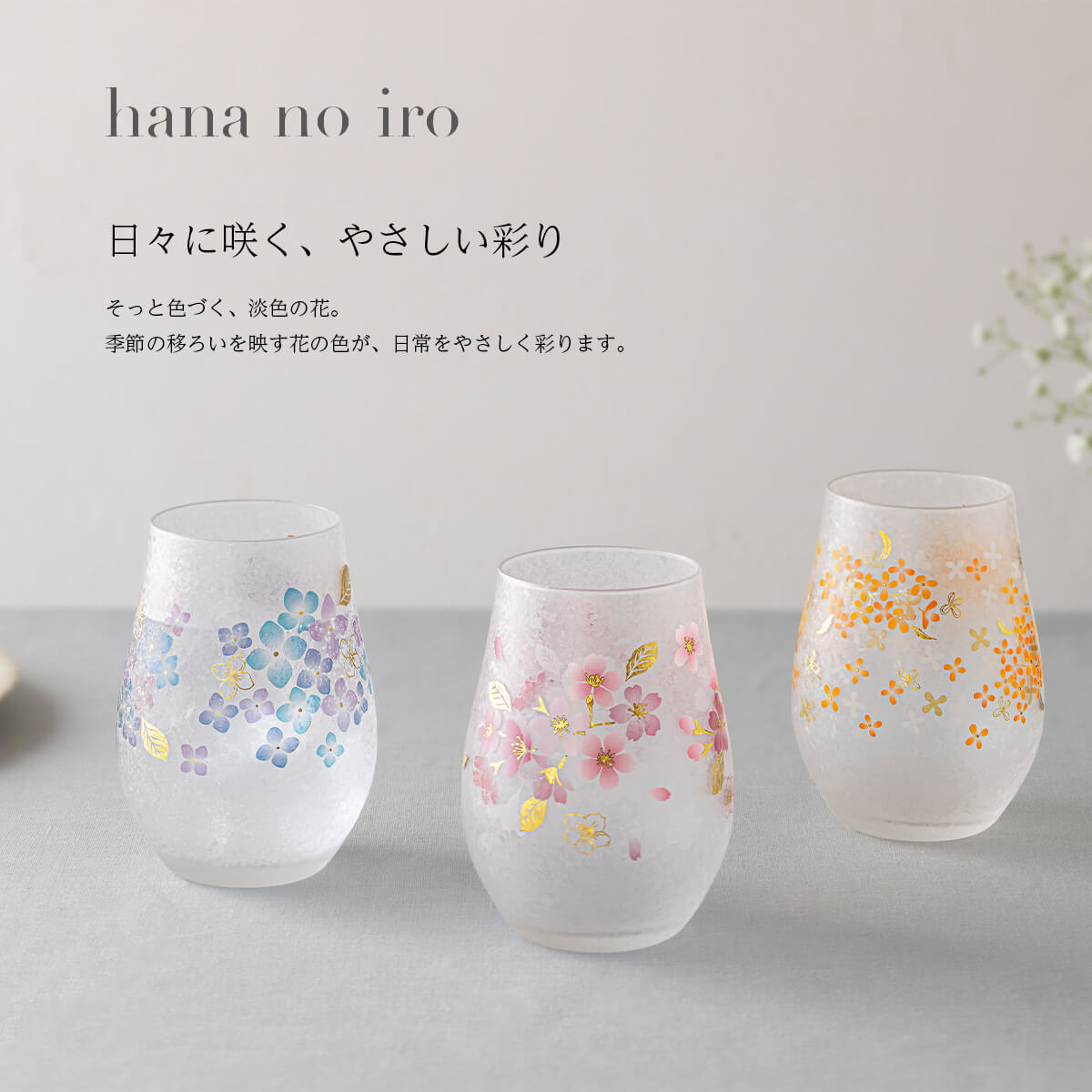 乐天商城 - hana no iro タンブラー 桜 紫陽花 金木犀 ギフト グラス 箱入り ギフトBOX 母の日 父の日 日本製 正規取扱店 1~7営業日出荷