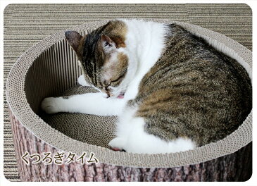 木目模様 が スタイリッシュな 筒型つめとぎ 猫 ねこ インテリア おしゃれな 爪とぎ ダンボール 愛猫が すっぽり 丸くなって くつろげる 筒状タイプ