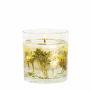 BOTANICS ボタニクス ジェルボタニカルキャンドル/コットン＆ハイドランジア GEL BOTANICAL CANDLE/COTTON HYDRANGEA STONEGLOW 正規品 ◆ろうそく/蝋燭/トラベル/アウトドア/ルーム/消臭/ ゆらぎ/フレグランス/芳香/アロマ/ギフト/プレゼント/香り/癒し