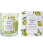グリーンオアシス グラス入りキャンドル シトラスゼスト CITRUS ZEST CANDLE GREEN OASIS 正規品 ◆ル..