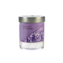 MADE IN ENGLAND ~jOXLh MINI GLASS CANDLE CObVx_[ ENGLISH LAVENDER ChCCOh WAX LYRICAL Ki 낤/XC/[/L/炬/tOX/F/A}