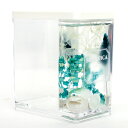 BOTANICA マルチスタンド ブルー Blue Multi Stand ボタニカ ホーム HOME 正規品 ◆ルーム/ボックス/道具箱/ペン立て/スツール/...