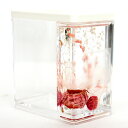 BOTANICA }`X^h sN Pink Multi Stand {^jJ z[ HOME Ki [/{bNX//y/Xc[/fXN/ItBX/ݑ[N/BOX/gift/room/office