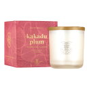 マインビーチ カカドゥプラム キャンドル Candle Kakadu Plum MAINE BEACH 正規品 ◆ろうそく/蝋燭/トラベル/アウトドア/ルーム/消臭/1/f ゆらぎ/フレグランス/ミスト/芳香/アロマ/ギフト/プレゼント/香り/癒し/リラックス/fragrance/aroma/gift
