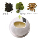 SASSO サッソ 【セット】SASSO 大 キャンドル+苔キット 月下香の香り 正規品 ◆天然石/ルームフレグランス/アロマキャンドル