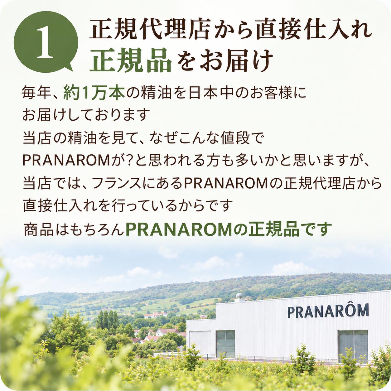 プラナロム アロマピク・夏の夜 ディフューザー用ブレンド BIO 10ml PRANAROM 精油...