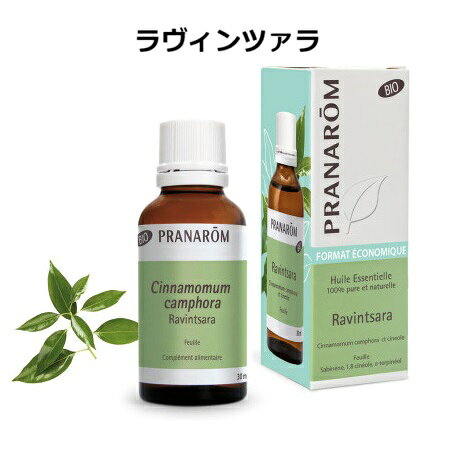 プラナロムラヴィンツァラBIOお徳...