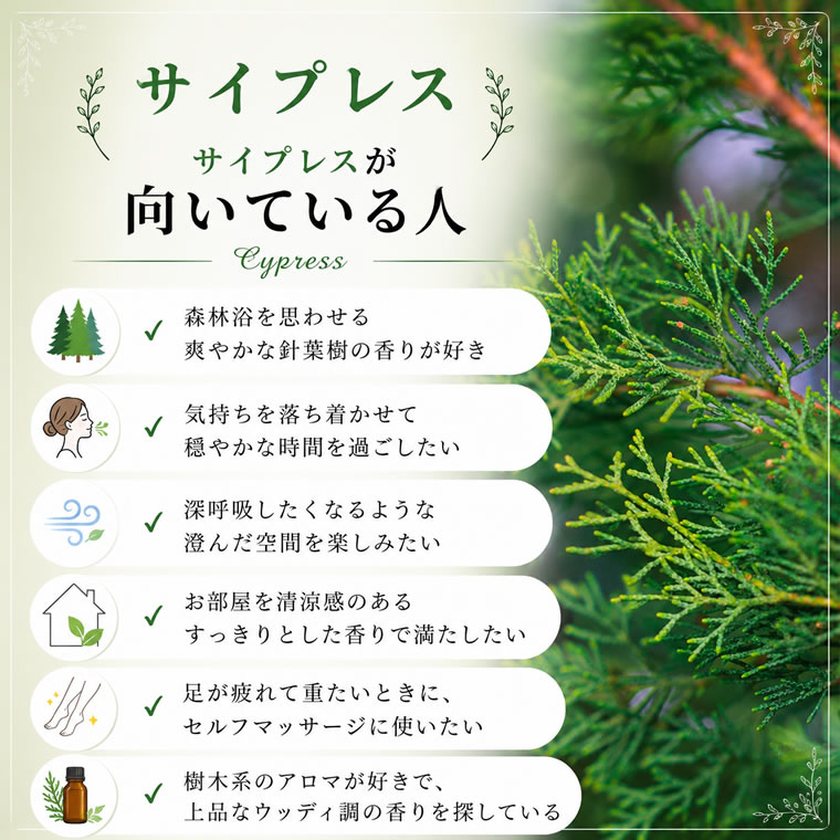 プラナロム サイプレス 精油 エッセンシャルオイル アロマオイル PRANAROM /送料無料 aromaoil-10000072 アロマ×アロマ サンプル画像2