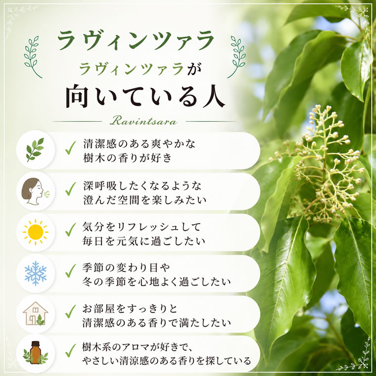 プラナロム ラヴィンサラ 10ml プラナロム アロマオイル オーガニック PRANAROM エッセンシャルオイル 精油 ラヴィンツァラ【送料無料】 aromaoil-10000100 アロマ×アロマ サンプル画像2