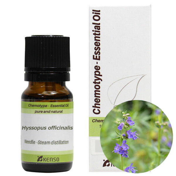 健草医学舎 ヒソップ プラナロム欠品中の代替精油 10ml アロマオイル 送料無料
