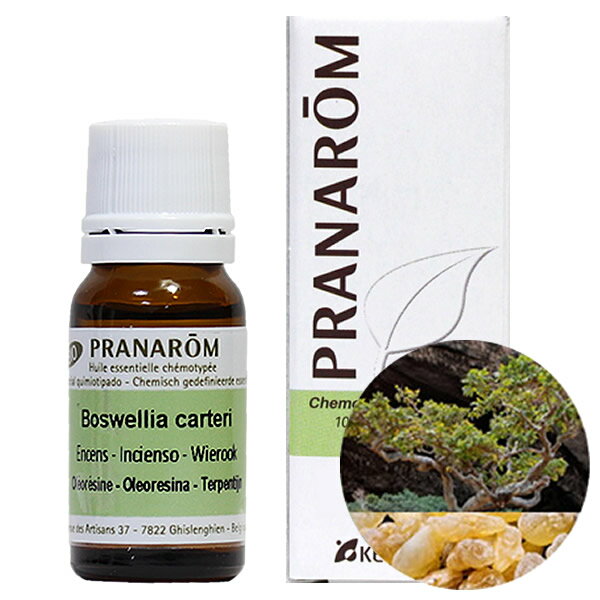 アロマオイルのギフト プラナロム フランキンセンス 10ml プラナロム アロマオイル オーガニック PRANAROM エッセンシャルオイル 精油 乳香 オリバナム【送料無料】