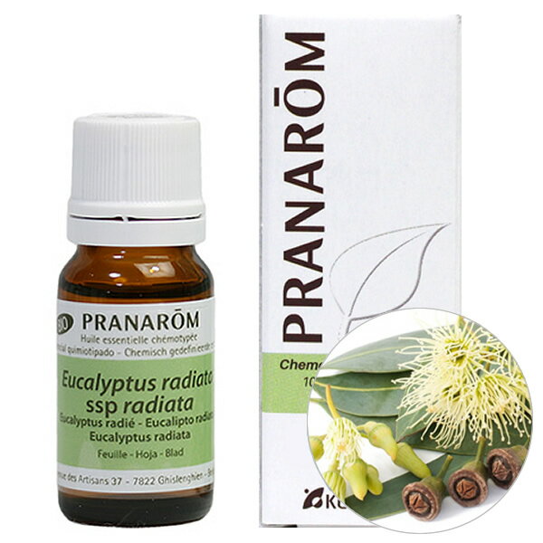 プラナロム ユーカリ ラディアタ 10ml プラナロム アロマオイル オーガニック PRANAROM エッセンシャルオイル 精油 【送料無料】