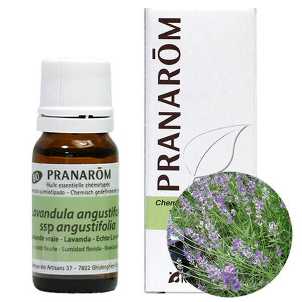 ץʥ ٥ 󥰥ƥեꥢ 10ml ץʥ ޥ ˥å PRANAROM å󥷥륪  ٥󥰥ƥեꥢ ̵