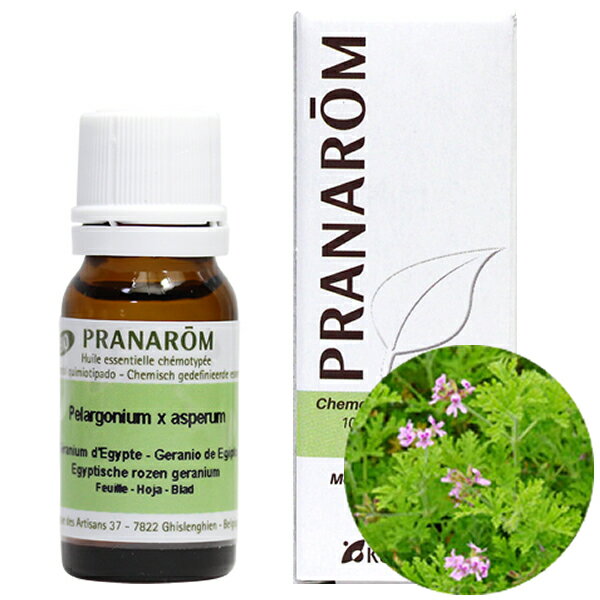 プラナロム ゼラニウム エジプト エッセンシャルオイル 10ml /プラナロム(PRANAROM) 送料無料