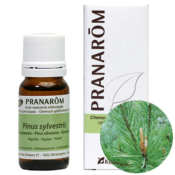 ふみゃ様 PRANAROM アカマツヨーロッパ他 合計3点 精油 ふみゃ様 PRANAROM アカマツヨーロッパ他 合計3点 精油