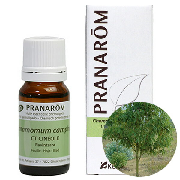 プラナロム ラヴィンサラ/ラヴィンツァラ エッセンシャルオイル 10ml /プラナロム(PRANAROM) 送料無料