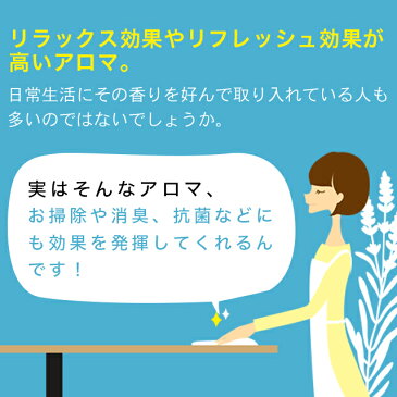 ポイント10倍！12日23:59まで アロマスプレー　天然アロマ 抗菌＆消臭 アンチバクテリア 300ml詰替用（エコパック）アロマ アロマグッズ 消臭スプレー 抗菌スプレー アロマスター 除菌 除菌対策 消臭 マスク 感染予防 抗ウイルス 抗菌 除菌スプレー 携帯用