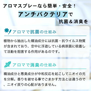 ポイント10倍！12日23:59まで アロマスプレー　天然アロマ 抗菌＆消臭 アンチバクテリア 100ml詰替用（エコパック）アロマ 消臭スプレー 抗菌スプレー 花粉症 花粉 柑橘 アロマスター 除菌 除菌対策 消臭 マスク 感染予防 抗ウイルス 抗菌 除菌スプレー 携帯用