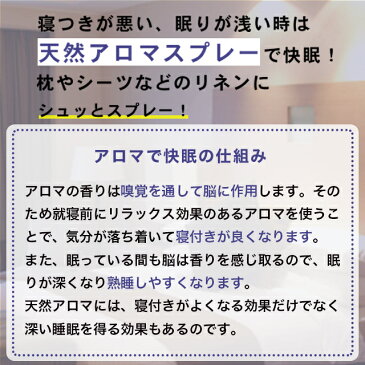 アロマスプレー 快眠 天然アロマ【キャンドルライト】100ml詰替用（エコパック）アロマ フレグランス バスタイム 消臭 玄関 オフィス デスク リビング トイレ クローゼット アロマスター