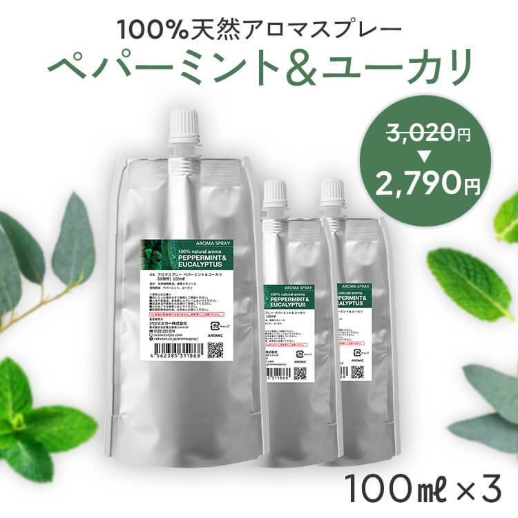 【詰め替え まとめ買い】 天然アロマ 消臭スプレー ペパーミント&ユーカリ 3点セット 100ml詰替用 3 | 精油 ペパーミント ミント ユーカリ グロブルス アロマ スプレー エコパック つめかえ リ…