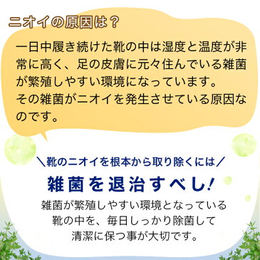 【送料無料】天然アロマ 靴の消臭スプレー【シューズフレッシュ】大容量セット（300ml+300ml詰替用）アロマ/アロマスプレー/アロマグッズ/消臭/リフレッシュ/ニオイ/靴/足/ニオイ/におい/臭い/2000円ポッキリ/ポッキリ/SALE/セール