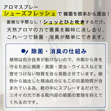 靴用 消臭スプレー 天然アロマ 水虫対策【シューズフレッシュ】2本セット（100ml+15ml）アロマ アロマスプレー アロマグッズ 消臭 水虫 ニオイ 靴 足 ニオイ におい 臭い デオドラント アロマスター