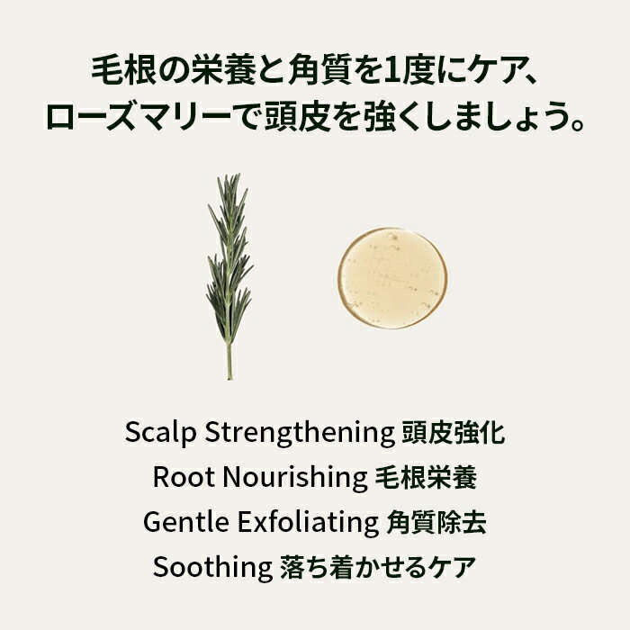 �������ݥ��20%OFF���� �����ޥƥ��� ���� �ۡ� �������ޥ꡼ ������� ��������� �����ס� 400ml �� �Υ󥷥ꥳ�� �����ס� ������ ������ Ƭ�� ���� ��ä��� ���ä��� �ӷ� ���� ���줤 ǻ̩ ˢ Ƭ�� ���� �Ѽ� ���� ��� ��ȱ ������ �ڹ� �إ� ���� ������