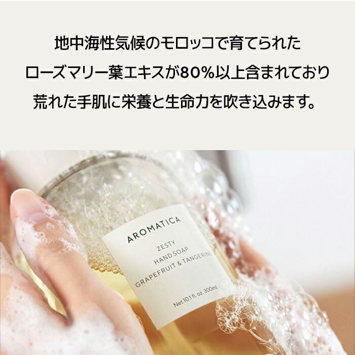 �������ݥ�Ǻ���25%OFF+����̵������ �����ޥƥ��� ���� �ۡ� �����ƥ� �ϥ�� ������ ���졼�ץե롼�� & ���󥸥���� 300ml�� ˢ ������ ������ �������ޥ꡼ ���å��󥷥�� ������ ���� �ᤤ �ݼ� ������ ��Ӥ� �и� ���ȥ饹 �ե�å��� �֤䤫 �դ��� ��ɷ�