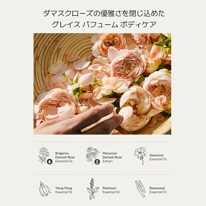 �ڿ����ʡۡ� �����ޥƥ��� ���� �ۡ� ���쥤�� �ѥե塼�� �ܥǥ������å��� ������ & ����˥��� 300ml �� �ܥǥ� ������ �ܥǥ� �����å��� ������ ������ ���äȤ� ���뤪�� �ݼ� ���ä��� ���� �������� ���å��� ���� �ܥǥ����� �ڹ� ������ ������ AROMATICA