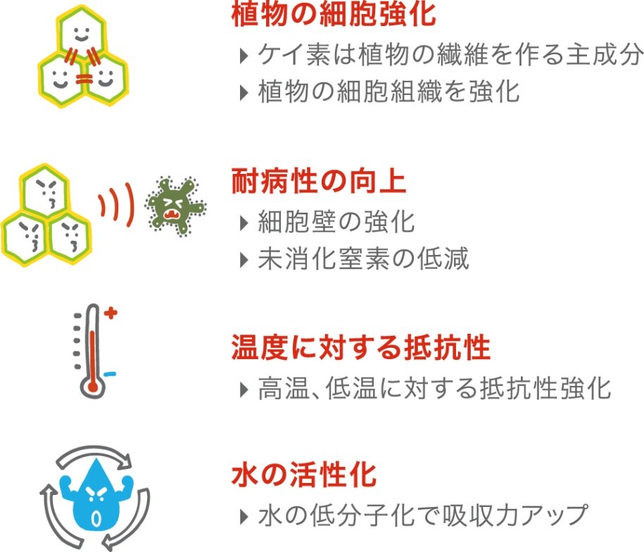 植物活力剤 観葉植物 岩石 水溶性ケイ素液体肥料 栄養剤 活力液 植物の健康向上細...