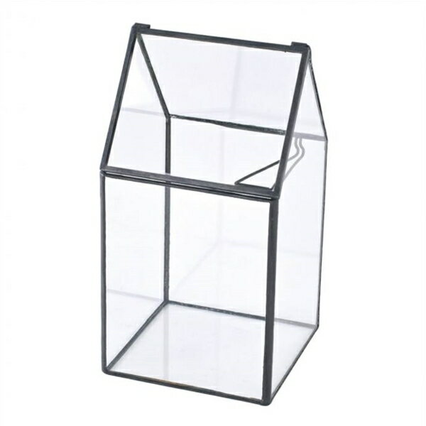 ガラス グラス 花瓶 花器 テラリウム キャンドルホルダーガーデニング雑貨 インテリア雑貨 アイアン雑貨ガラスケース アンティーク風 レトロ調 オブジェ 小物入れ鉢カバー ディスプレイケース 多角形アイアンとガラスのボタニカルコンテナ トールハウスS