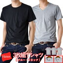 Hanes ヘインズ Tシャツ 3枚組 半袖 ストレッチ 無地 クルーネック Vネック メンズ【ゆうパケット送料無料C】【1-E10I】