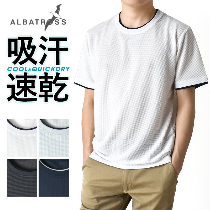 ALBATROSSアルバトロスDRY吸汗速乾COLL覗きダブルネック半袖Tシャツ