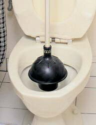 �˥塼�μ����å�CL-423-000-0 ���ƥ��ȡ����̿��ѡ١إȥ����ѡ�