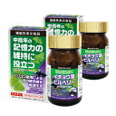 イチョウ葉サプリ ビルベリー【420mg×120粒】 2個セット フラボンベリーα 【約2ヶ月分】 視力回復 老眼 物忘れ サプリ イチョウ葉 ビルベリー ルテ...