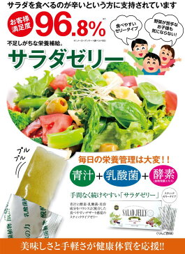 75種類以上の原料を厳選!乳酸菌サラダゼリー ビタミン、ミネラル豊富な大麦若葉を使用。スティックタイプで便利。大麦若葉加工食品(ゼリー)サラダゼリー 30包