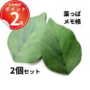 *20日は全P2倍*【2冊セット】本物そっくりの葉っぱ型付箋紙。鮮やかなグリーンが目をひく 付箋 葉っぱ 粘着 リーフ 植物 本物 そっくり おしゃれ