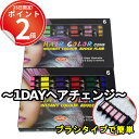 6本セット ブラシにチョークをセット。簡単に着色できるヘアチョーク。 ヘアカラー ヘアマニキュア コスプレ 1日だけ 水落ち 原色 クリスマス ハロウィン