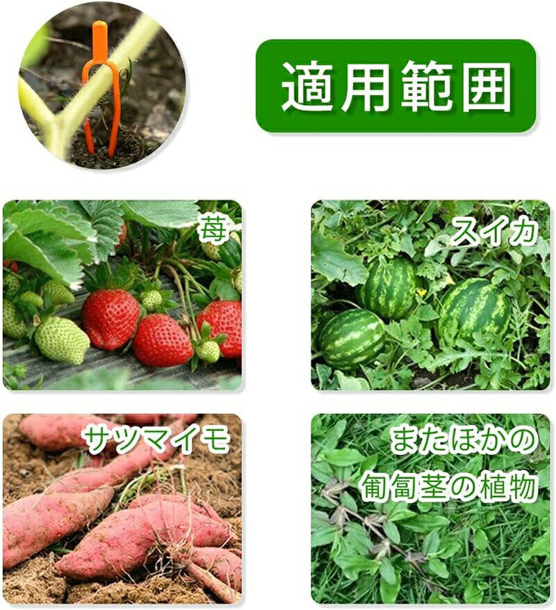 園芸クリップ ランナーピン 植物固定クリップ 植物サポート 園芸用クリップ 園芸用...
